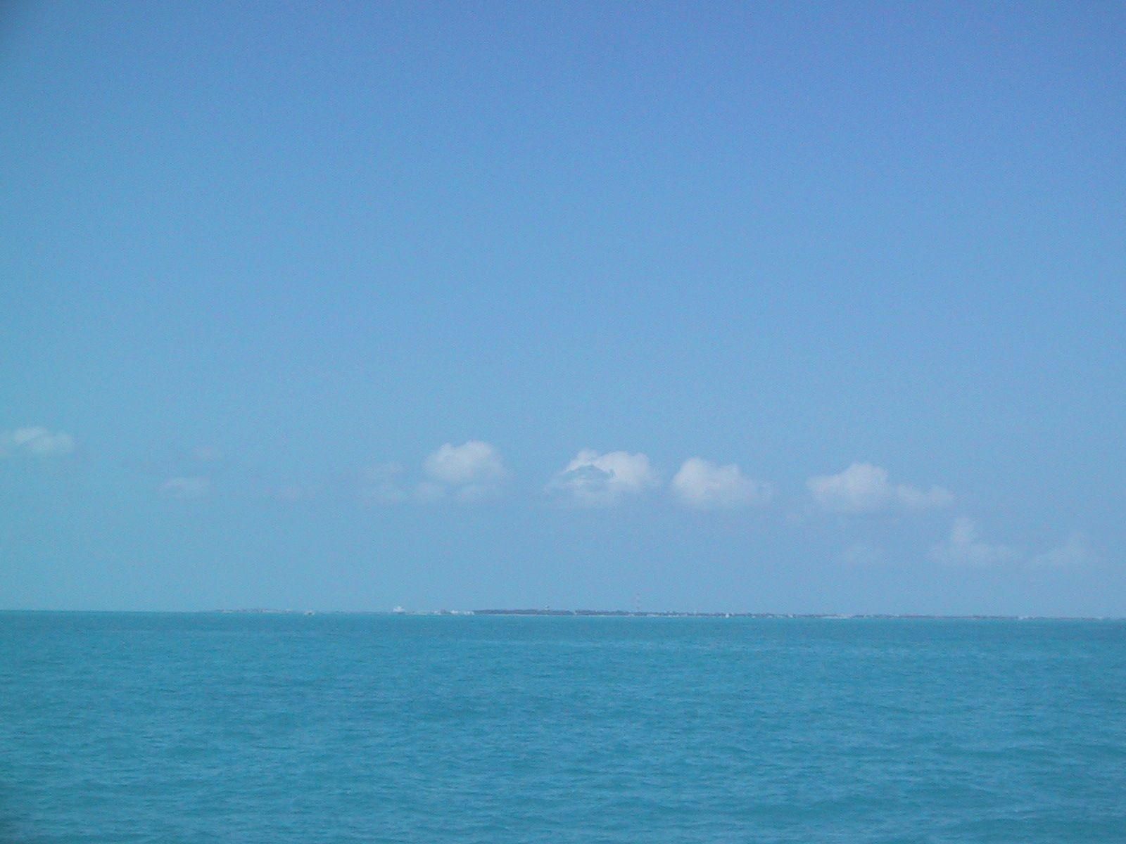 IMG_1135.jpg