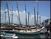 IMG_1116.jpg