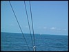 IMG_1119.jpg