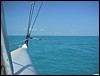 IMG_1134.jpg