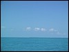 IMG_1135.jpg