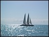 IMG_1136.jpg