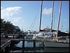 IMG_1139.jpg