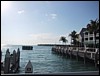 IMG_1141.jpg