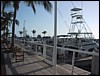 IMG_1142.jpg