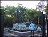 IMG_1146.jpg