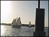 IMG_1153.jpg