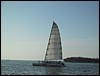 IMG_1154.jpg