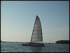 IMG_1155.jpg