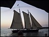 IMG_1165.jpg