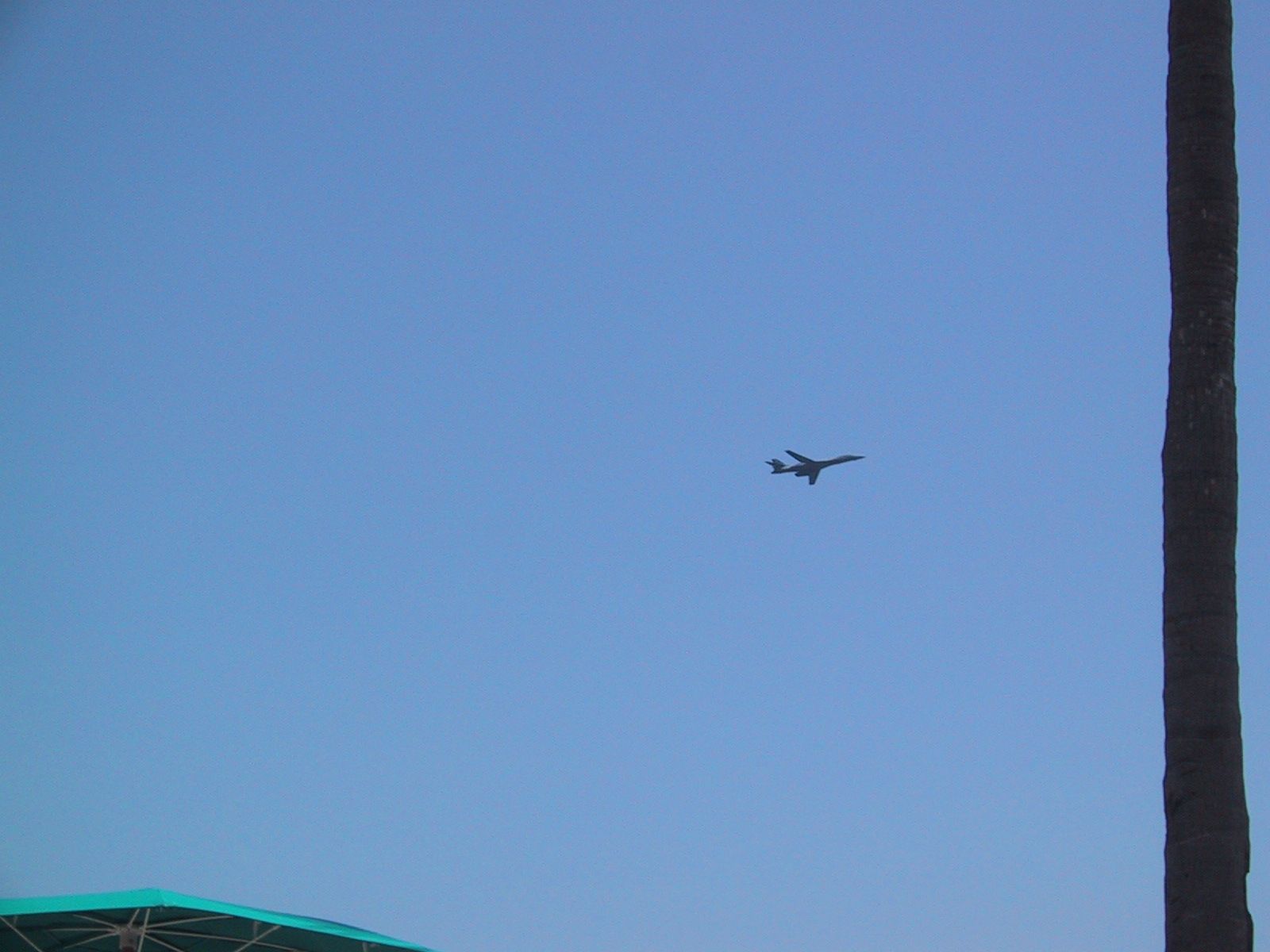 IMG_1215.jpg