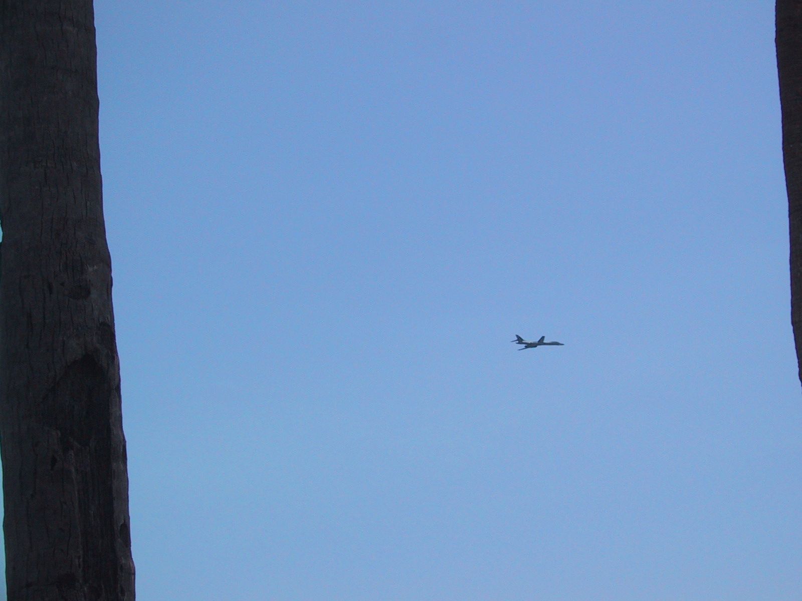 IMG_1216.jpg